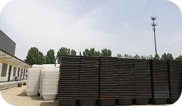 1590746436115166.png 1-1.png